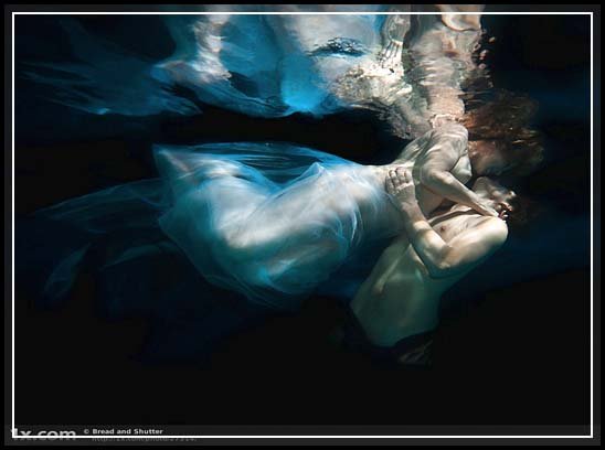 Breathtaking Underwater Photographs that Touch Your Heart