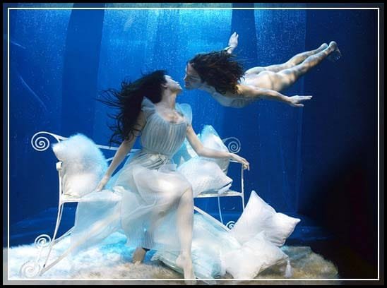 Underwater Photographs