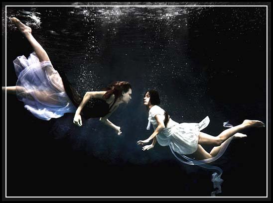 Breathtaking Underwater Photographs that Touch Your Heart