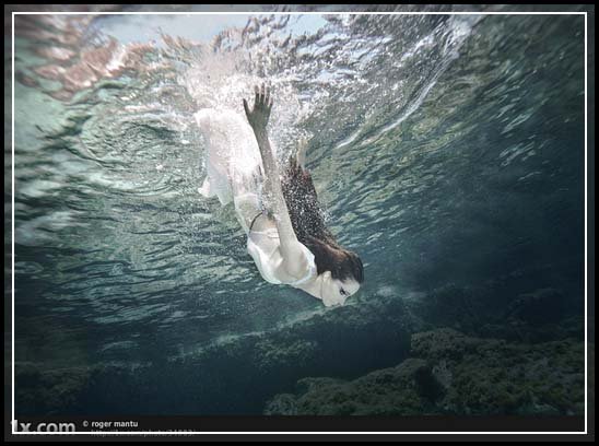 Breathtaking Underwater Photographs that Touch Your Heart