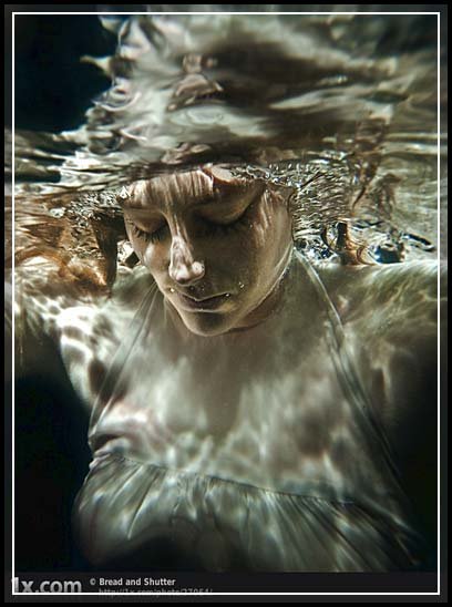 Breathtaking Underwater Photographs that Touch Your Heart