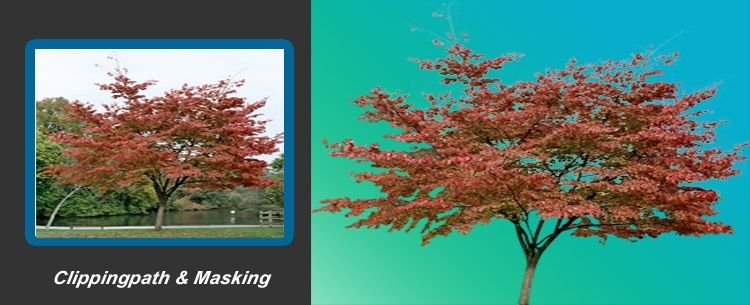 complex tree masking